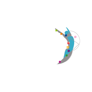 IQAEO-rotaciones